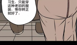 拉链漫画,幽默与智慧的完美结合