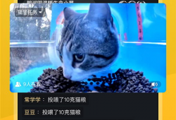 猫咪直播91,猫咪直播91的趣味瞬间